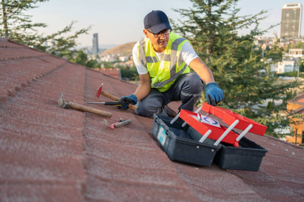 Best Fiber Cement Siding Installation  in Sansom Park, TX